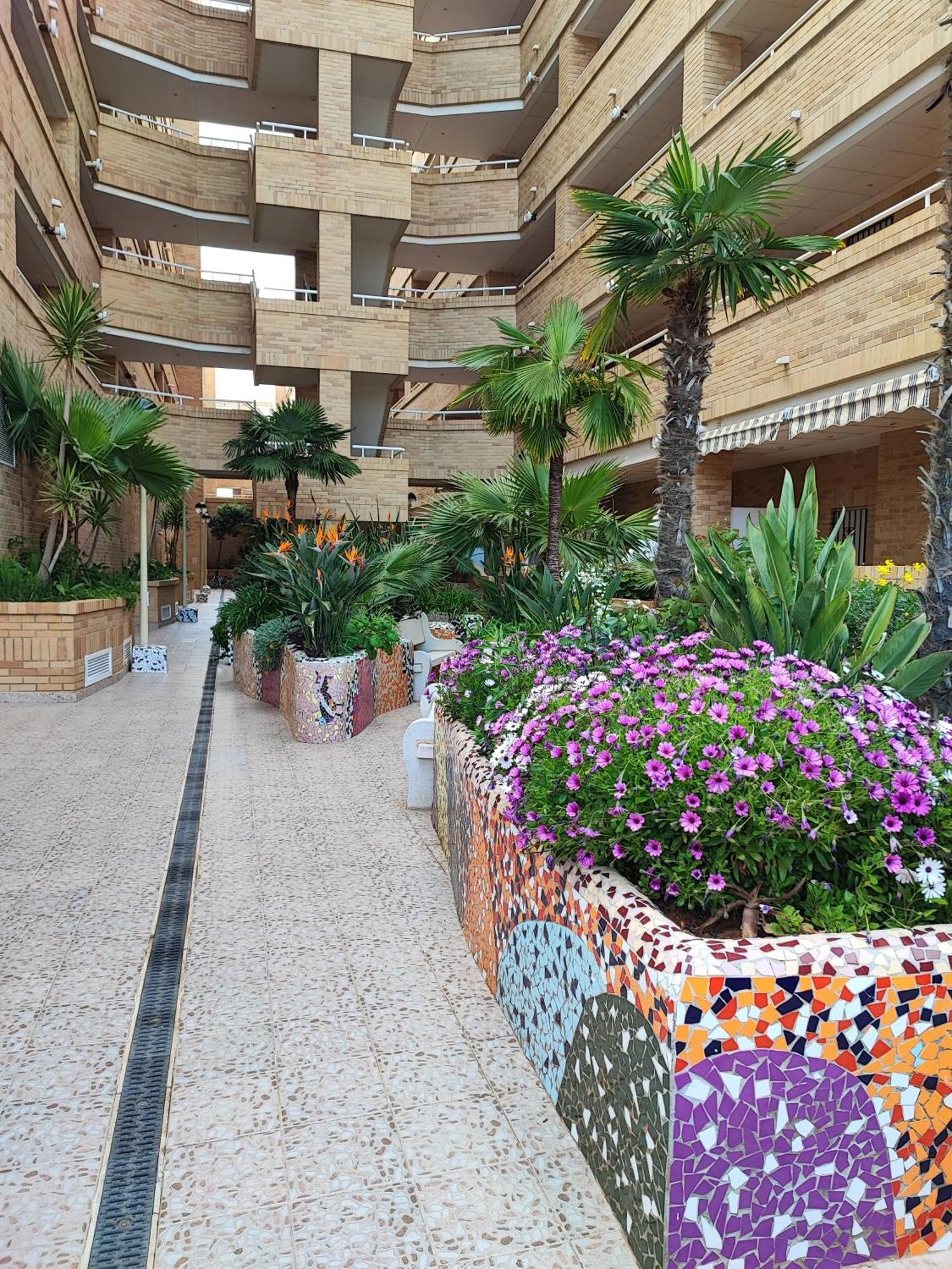 Magic World Apartamento Lyz Y Mar Oropesa del Mar Eksteriør billede